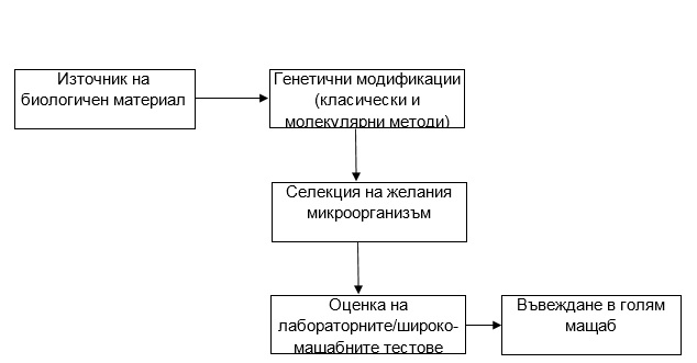 LO3 1 BG